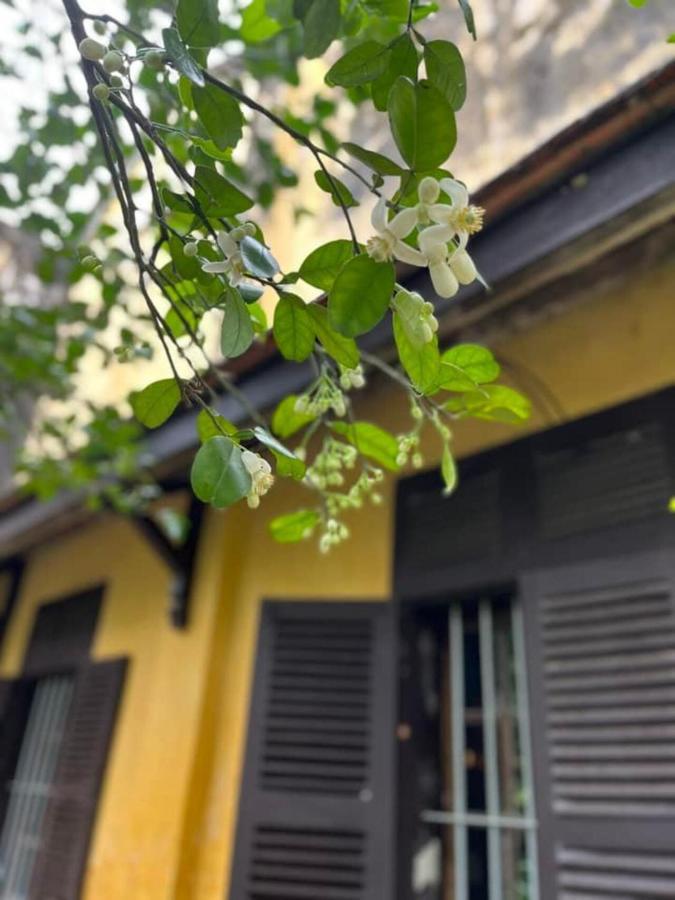 Ciel Homestay เว้ ภายนอก รูปภาพ
