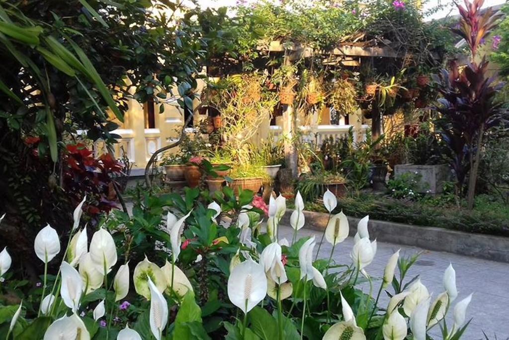 Ciel Homestay เว้ ภายนอก รูปภาพ