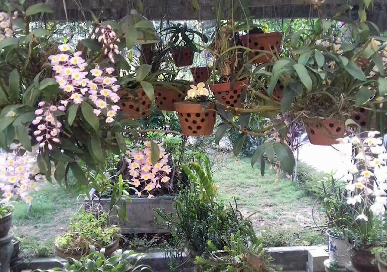 Ciel Homestay เว้ ภายนอก รูปภาพ