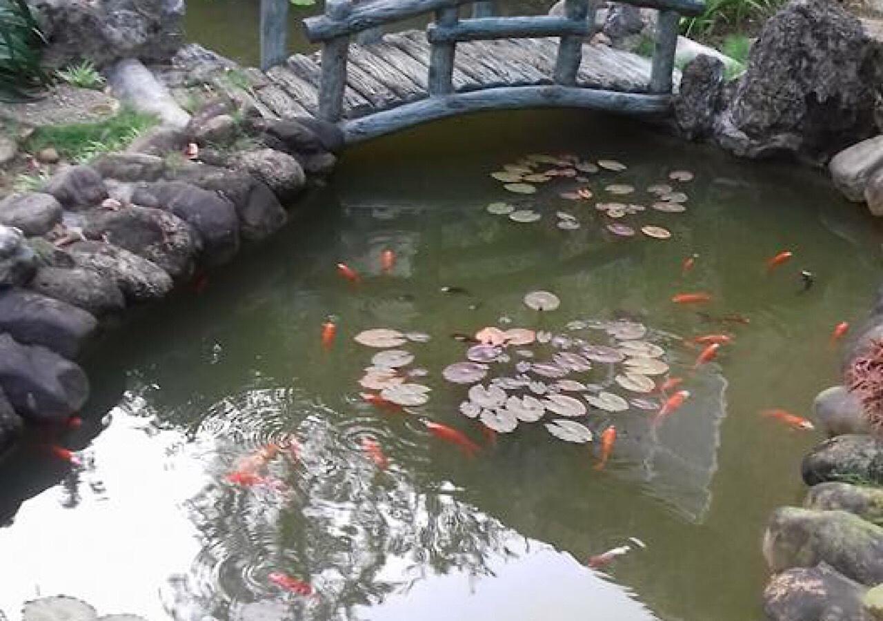 Ciel Homestay เว้ ภายนอก รูปภาพ